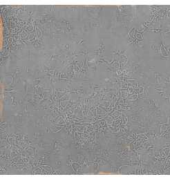 111358 zellige 111358 decor grey Керамическая плитка для стен Wow